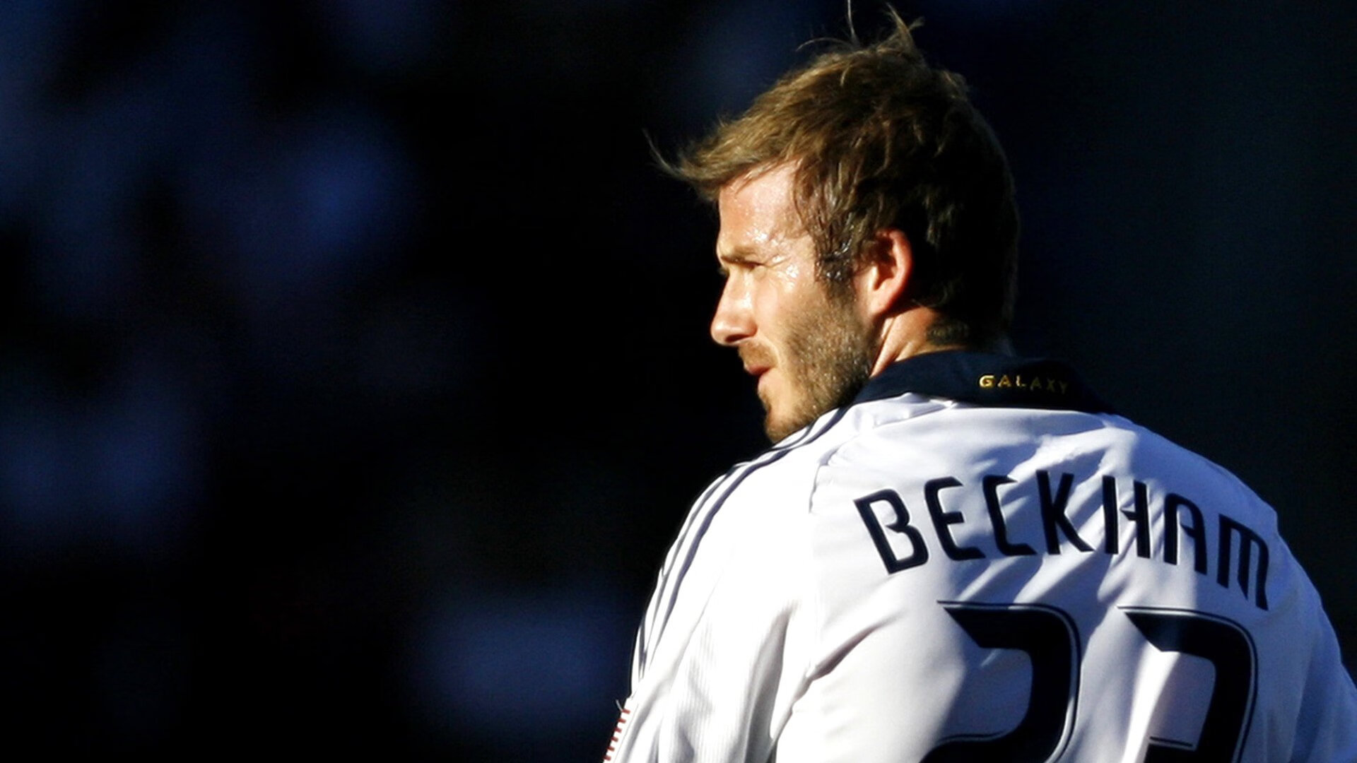 公牛教练团队开发个性化训练系统，公牛王朝的教练